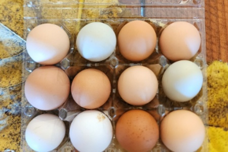 Farm Fresh Eggs 