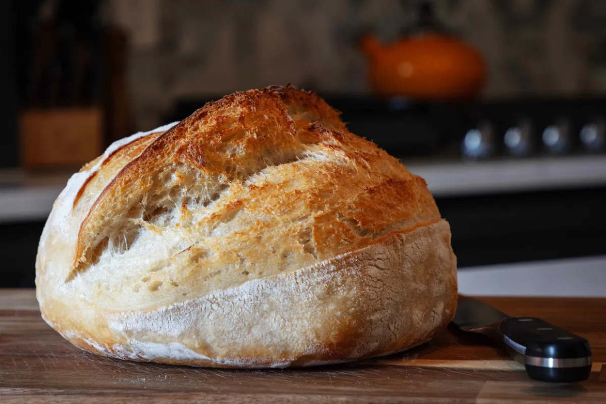 Classic White Sourdough Loaf