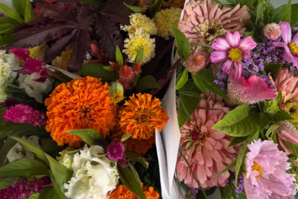 Cut Flowers
