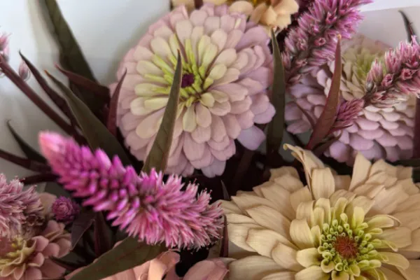 Cut Flowers