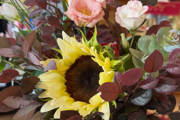 Cut Flowers