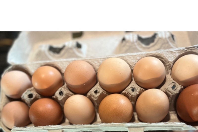 Farm Fresh Eggs