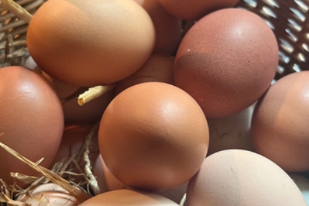Farm Fresh Eggs