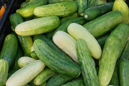 Cucumbers